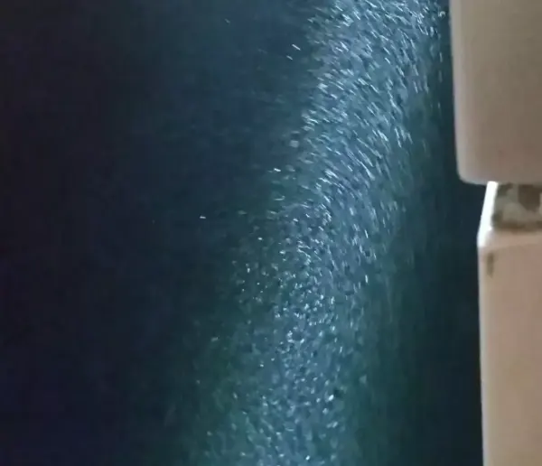 Feine Wassertröpfchen, die aus einer weißen Düse auf dunklem Hintergrund versprüht werden.