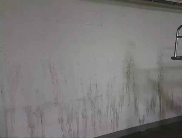 Eine mauer mit schimmel