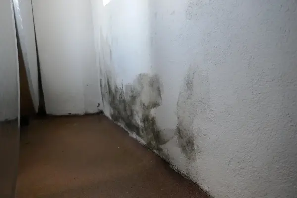 Wand mit dunklen Schimmelflecken an der unteren Ecke eines Raumes mit braunem Boden.