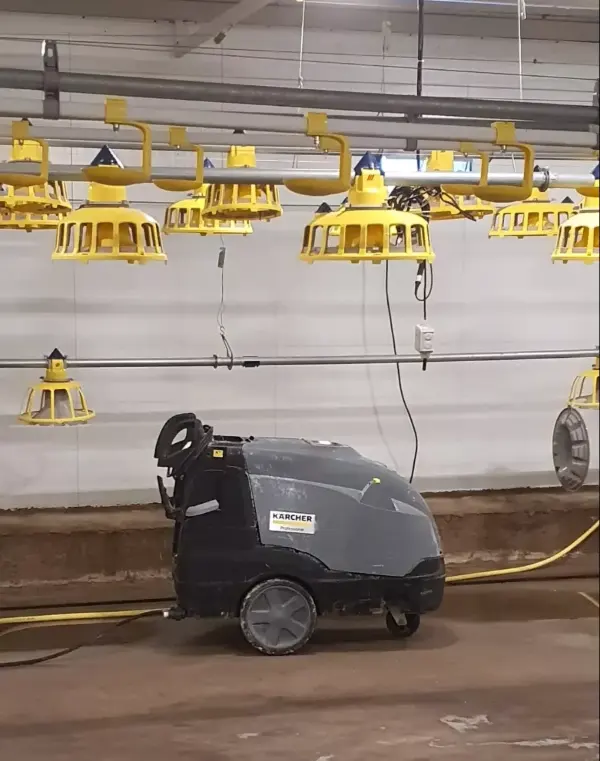 Eine Maschine reinigt einen Stall, während der Boden von Schmutz und Stroh befreit wird.