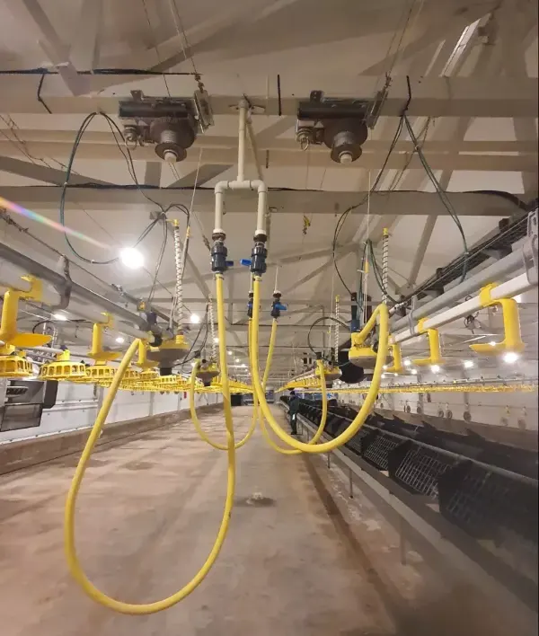 Ein großer Raum mit mehreren Rohren und Schläuchen im Hühnerstall.